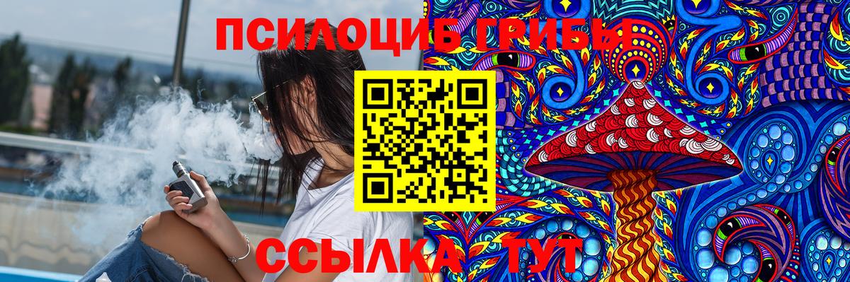 Сегежа  Псилоцибиновые грибы MAGIC MUSHROOMS  Вход с VPN 