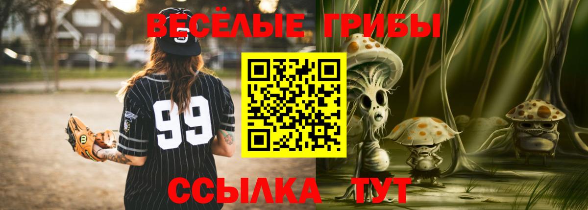 Псилоцибиновые грибы MAGIC MUSHROOMS Сегежа